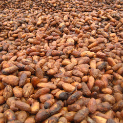 CACAO