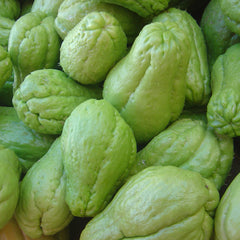 CHAYOTE